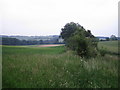 Fields and hedgerow near Buckholt Farm, Buckholt