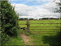ST5499 : Stile on the way to the Devil's Pulpit by Roy Parkhouse