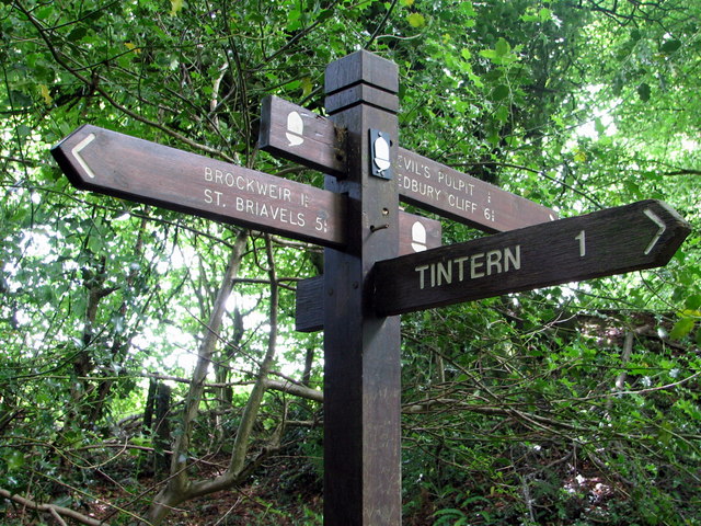 Fingerpost on the Offa's Dyke footpath above Tintern