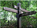 SO5400 : Fingerpost on the Offa's Dyke footpath above Tintern by Roy Parkhouse