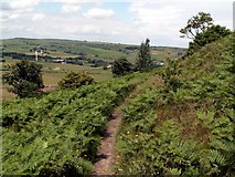 SE2101 : The Bridleway around Hartcliff Hill by John Fielding
