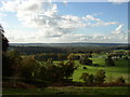 Longleat House from Heavens Gate