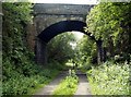 Trans Pennine Trail West. from Penistone