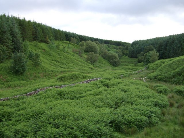 Secluded Valley of Balglass Burn