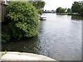 The River Colne meets the River Thames