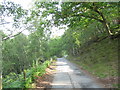 Looking back down the mountain road