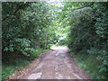 Hertingfordbury: Old Thieves Lane