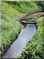 Looking downstream from Invershore Bridge