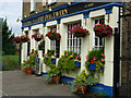 Oval Tavern, Croydon