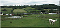 Undulating hillside above Brookhouses