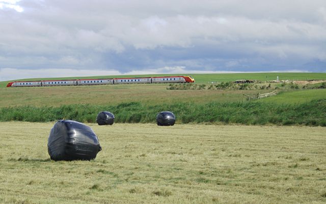 Bales and train