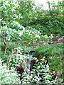 Waterfall on Backstone Burn