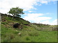 Small field lime kiln