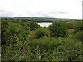 Derrynaweagh Townland