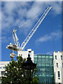 Tower Crane in Knightsbridge