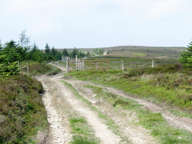 Gate and ffridd fence on the land-rover track