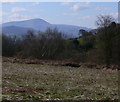 Ffynnon Gynydd Common