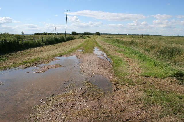 Farm track at the end of Will Row