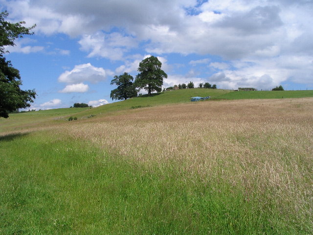 Hay field, Sowe valley