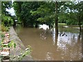 Footpaths down the Ouse