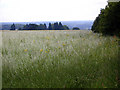 Looking towards West Park Farm