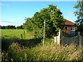 Footpath to Kexby Stray