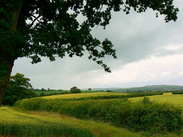 Open countryside near Chelwood