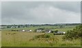 Houses on Benston Road, south of Cumnock