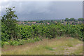 Summit of Bramcote Ridge