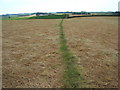 Looking along the footpath towards Fairfield farm, from Brockholes wood