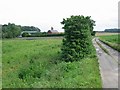 Little Tickenhurst Farm and access track