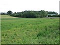 View across farmland near Tickenhurst