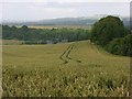 Farmland, Clarendon Park