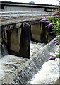 Weir on River Frome