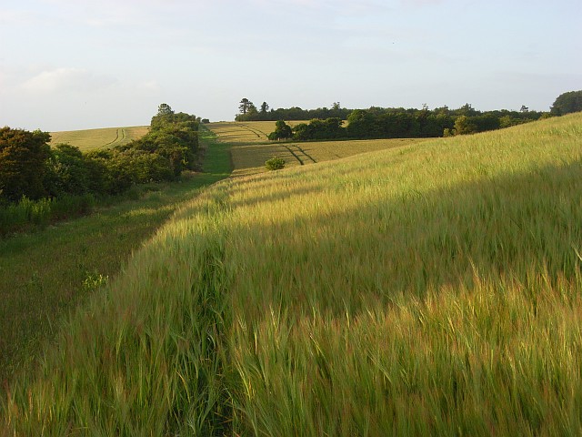 Farmland, Clarendon Park