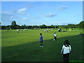 Carr-bridge public football pitch