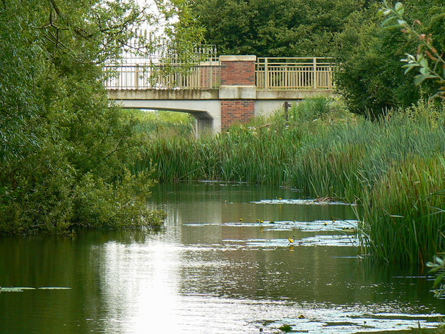 Thames and Severn canal, near South Cerney (2)