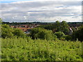 Across the top of the field towards Yarm