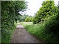 Byway east of Whitefield Forest