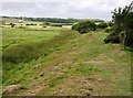 Flood bank on Brading Marsh