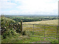 Through the gate to open fields........