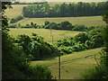 Farmland, Clarendon Park