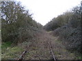 Disused railway line near Knapps Hook Farm 3