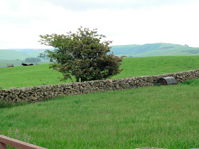 Wall enclosed fields