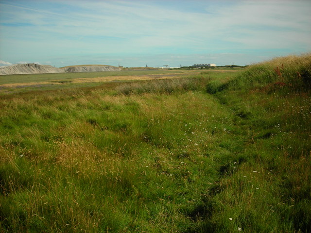 North End Marshes