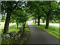 Country road at Pitcarmick