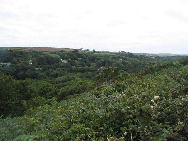 View into Lamorna Valley