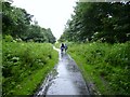 Walking in the rain