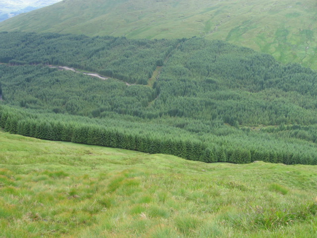 Hillside of The Brack towards Ben Donich