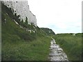 TR3847 : Path below the cliffs, Kingsdown by Nick Smith